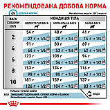 Корм сухий Royal Canin для собак при небажаній реакції на корм HYPOALLERGENIC SMALL DOG 1 кg, фото 8