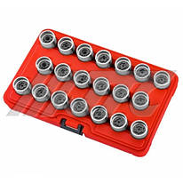 Набір головок для демонтажу секретних болтів AUDI 20 од. 6818 JTC