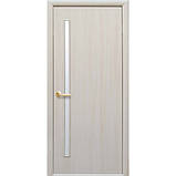 Міжкімнатні двері Ок двері серія LINE модель Glass-01, фото 2