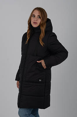 Куртка жіноча зимова Aziks м-213 чорниця