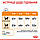 Корм для котів ROYAL CANIN HAIR&SKIN CARE 0.4 кг, для підтримки здоров’я шкіри та блиску шерсті, фото 9