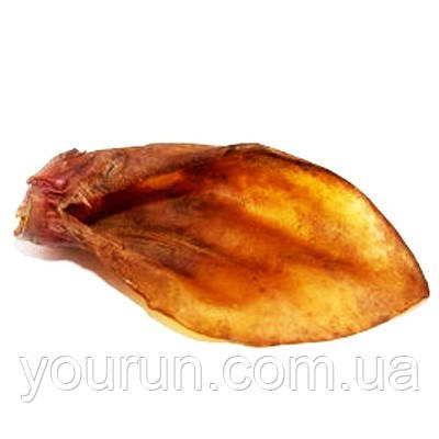 Вухо яловиче 1шт
