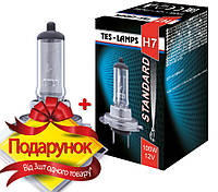 Автолампа H7 12V 100W PX26d Tes-lamps