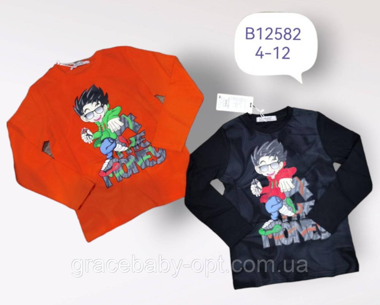 Реглан для хлопчиків оптом, Grace, 4-12 років, № B12582