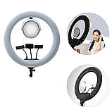 Кільцева світлодіодна лампа 50 см із дзеркалом сумкою та 3 тримачами LED селфі кільце з пультом для фото відео, фото 5
