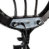 Кільцева світлодіодна лампа 50 см із дзеркалом сумкою та 3 тримачами LED селфі кільце з пультом для фото відео, фото 3