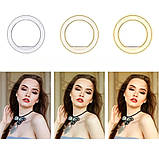 Кільцева світлодіодна лампа 50 см із дзеркалом сумкою та 3 тримачами LED селфі кільце з пультом для фото відео, фото 8