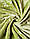 Плед хутряний з помпонами Love You Зелений 150 x 200 см, фото 3