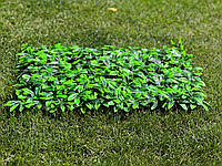 Фітомодуль "Молоде Листя" 60х40 см. Висота 5 см, фото 3