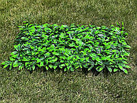 Фітомодуль "Молоде Листя" 60х40 см. Висота 5 см, фото 2