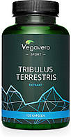 Бустер тестостерону Трибулус наземний (Tribulus Terrestris) 600 мг Vegavero® - 120 капсул