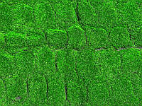 Декоративний газон-килимок Мох 100х100 см, фото 5
