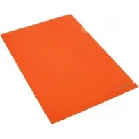 Папка-уголок Economix А4 плотная оранжевая (10) E31153-06