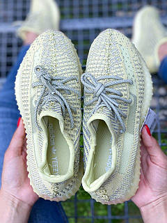 Antila yeezy online