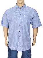 Мужская голубая рубашка Castelli 2023#4 в мелкую клетку