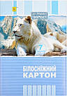 Дошкільний набір канцтоварів  (Дівчинка / Хлопчик), фото 10