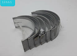 Вкладки корінні комплект STD TY295 (Xingtai 220/224)