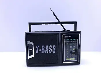 Портативний радіоприймач з ліхтариком Golon RX-166-LED