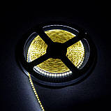 Світлодіодна стрічка Venom SMD 3014 240д.м. (IP33) Standart нейтрально-біла (VST-3014122400-NW), фото 2