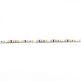 Світлодіодна стрічка Venom SMD 5630 60д.м. (IP33) Standart тепло-біла (VST-5630120600-WW) Тепло-білий, фото 3