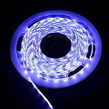 Світлодіодна стрічка Venom SMD 2835 60д.м. (IP65) Standart холодно-біла (VST-2835120601-CW) Холодно-білий, фото 3