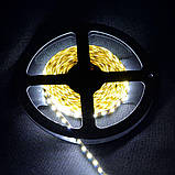 Світлодіодна стрічка Venom SMD 2835 120д.м. (IP33) Standart біла (VST-2835121200-W) Білий, фото 3