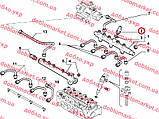 Датчик тиску паливної планки 1.9 JTD Doblo 2000-2005, Арт. 0281002405, 46779638S, BOSCH, фото 2