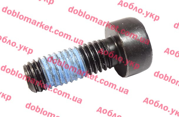 Болт маховика 1.3MJTD (8x1.25) Doblo 2005-2016, Арт. 55258458, 55221004, 55258458, FIAT