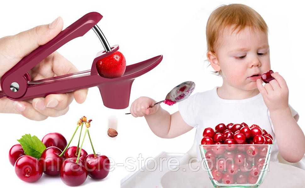 Прибор для удаления косточек из вишни Cherry Olive Pitter - фото 3 - id-p1892482217