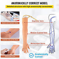 VEVOR IV Практическая модель руки Набор для сбора крови Инъекционная рука Набор для флеботомии руки