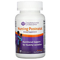 Мультивитамины для кормящих женщин, Nursing Postnatal Breastfeeding Multivitamin, Fairhaven Health, 60 капсул