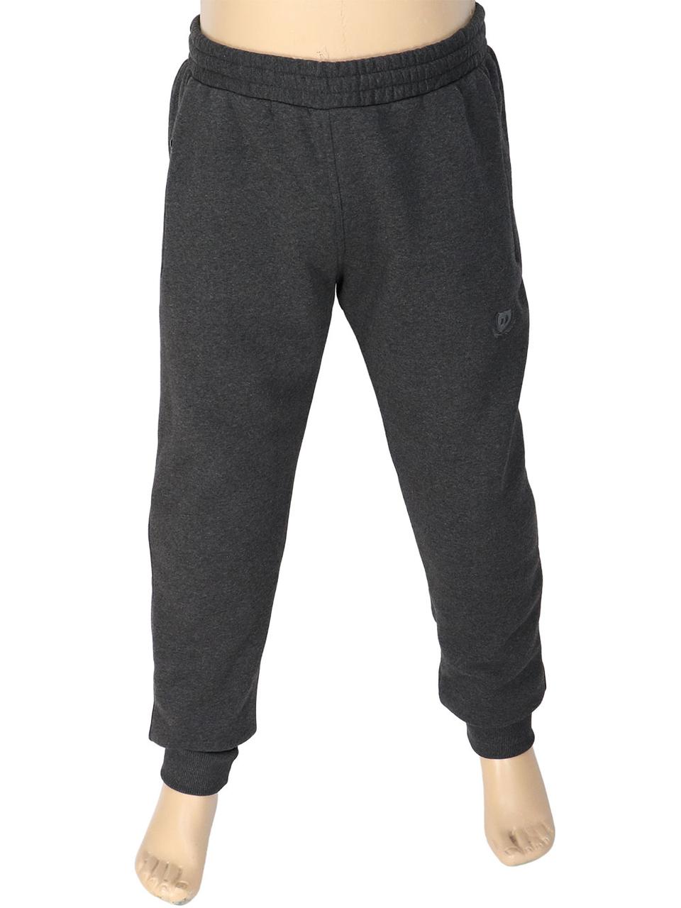 Спортивні чоловічі штани на флісі Dekons 1829 Antrasit, фото 1