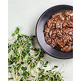 Корм вологий Savory для кошенят, ягня з гарбузом у желе, пауч, 85 г, фото 4