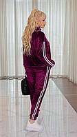Супер стильный женский велюровый спортивный костюм двойка большие размеры батал Штаны стильные+кофта на змейке Бордовый, 54-56