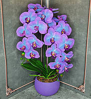 Композиція з Латексних орхідей Преміум класу на Дві гілочки в Керамічному горщику
