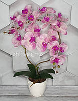 Композиция из Латексных орхидей Премиум класса на Две веточки в Керамическом горшке