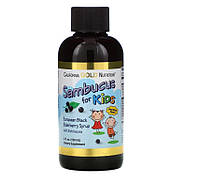 California Gold Nutrition Sambucus kids, бузина для дітей, сироп чорної бузини з ехінацеєю, 120 мл