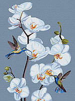 Картина по номерах Квітучі орхідеї annasteshka Ідейка 30 х 40 KHO3241