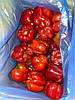 Перець червоний цілий заморожений, мінімальна фасовка для замовлення 2,5 кг, в ящику 10 кг, фото 2
