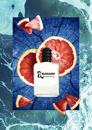 Інтер'єрний парфум Rise Up (Elegaro) 100 мл (40751501), фото 2