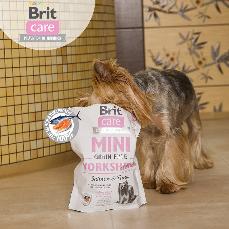 Brit care mini 2025 grain free yorkshire
