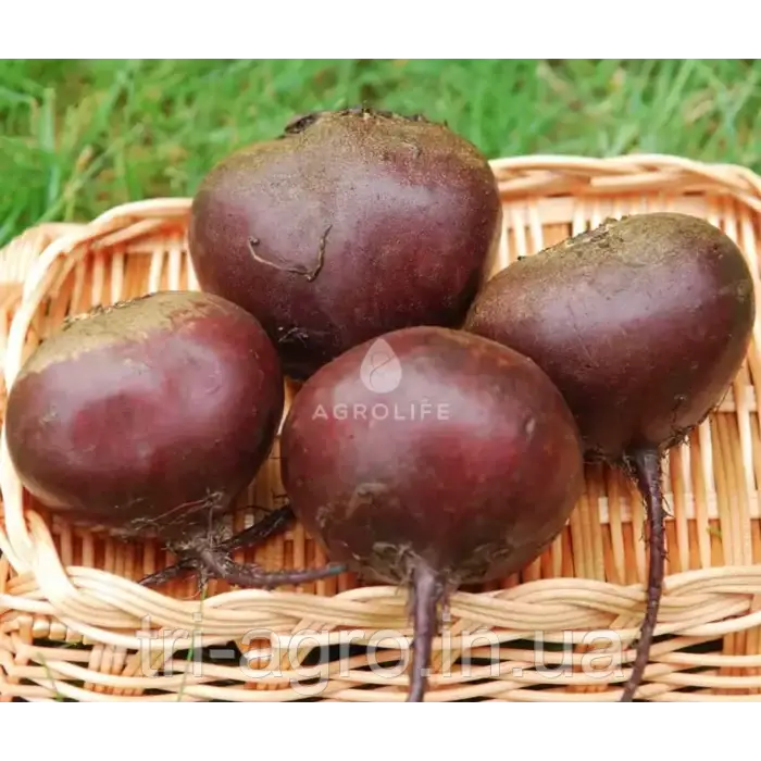 Буряк Ред Бул 5 г (Проф.Нас)