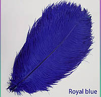 Перья натуральное 14-20 см. Цвет - синий