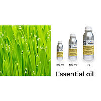 Эфирное, натуральное масло, экстракт, ароматерапия, для аромадиффузоров Масло Пальмарозы (Palmarosa Oil)