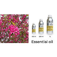 Эфирное, натуральное масло, экстракт, ароматерапия, для аромадиффузоров Масло Розового Дерева (Rosewood Oil)