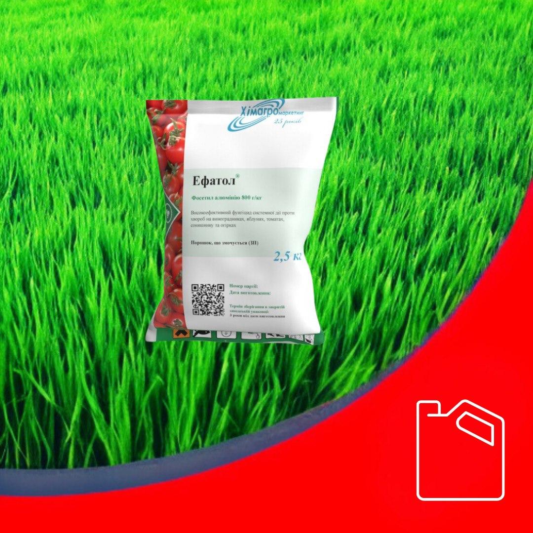Фунгіцид Ефатол, фото 1