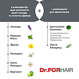 Пілінг для жирної шкіри голови з частинками солі з мертвого моря Dr.FORHAIR Sea Salt Scaler 50 мл, фото 5