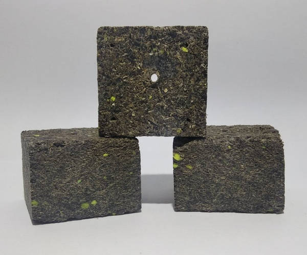 Купить Макуха для рыбалки на карпа карася Black Gold Подсолнечная (Анис ...