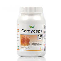 Кордицепс - 500 мг, Cordyceps Biotrex 60 капсул. иммуномодулятор