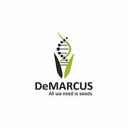 Брендове насіння соняшнику та кукурудзи від ТМ "ДеМАРКУС / DeMARCUS". Гібрид ФЛОКИ Сумо/FLOKI SU